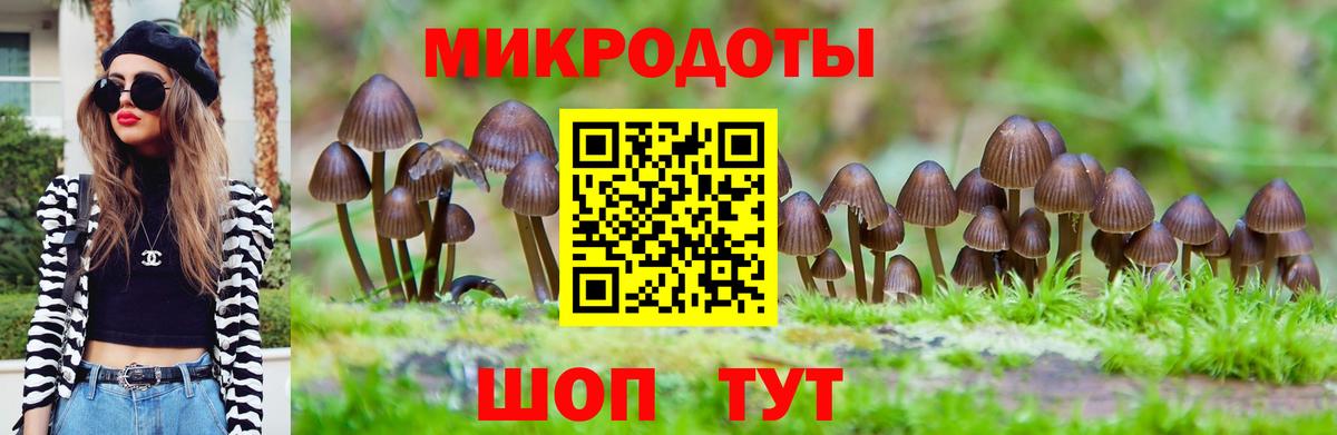 продажа наркотиков  Галлюциногенные грибы прущие грибы  Вход с VPN  Ликино-Дулёво 